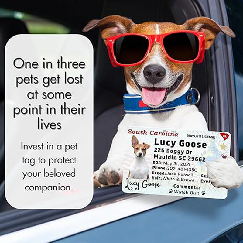 DTY Sublimation MDF Pet Tag | Blank Heat Transfer Dog Tag for Pets | White 5.5×8.6cm & 2.8×4.3cm | Customizable