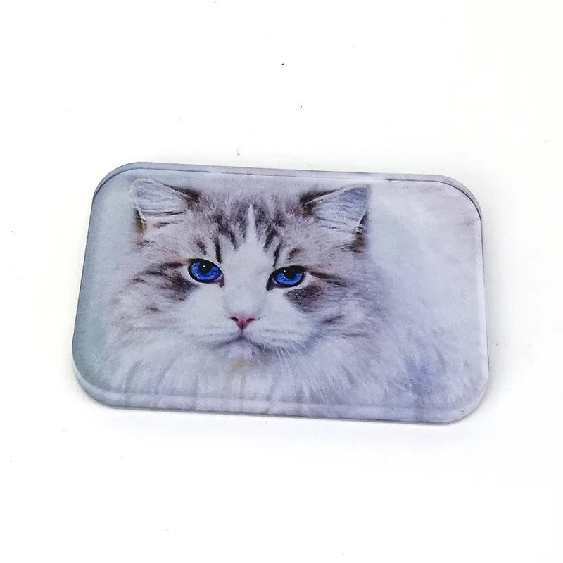 Sublimation Acrylic Refrigerator Magnet | Blank Heat Transfer Fridge Magnet | DIY Soft Magnetic Photo Decoration